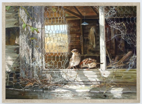 Home To Roost by Ben Ho - Boxed Frame Notecard