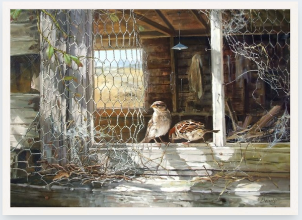 Home To Roost by Ben Ho - Boxed Frame Notecard