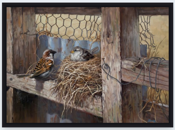 The Nest by Ben Ho - Boxed Frame Notecard