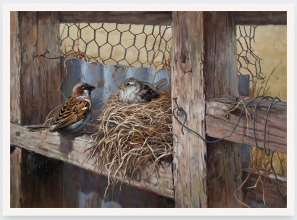 The Nest by Ben Ho - Boxed Frame Notecard