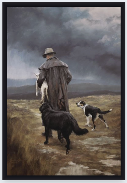 The Rescue Team by Julie Greig - Boxed Frame Notecard