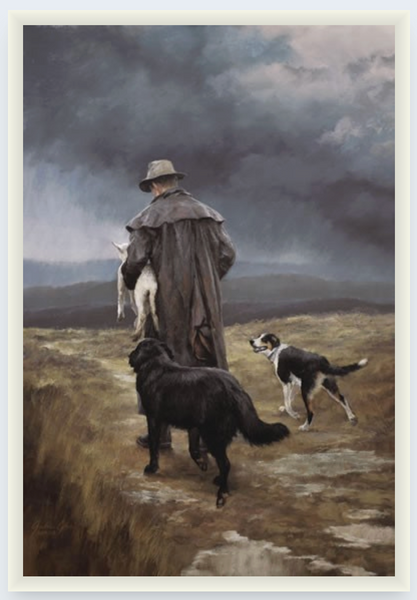 The Rescue Team by Julie Greig - Boxed Frame Notecard