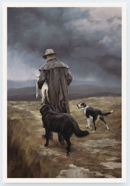 The Rescue Team by Julie Greig - Boxed Frame Notecard