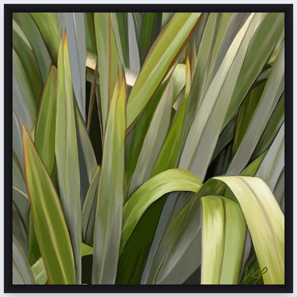 Harakeke by Vicky Peacock - Boxed Frame Notecard