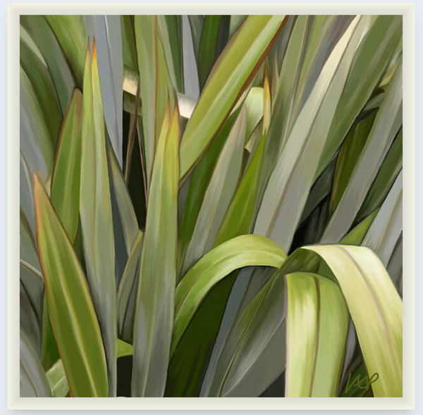 Harakeke by Vicky Peacock - Boxed Frame Notecard