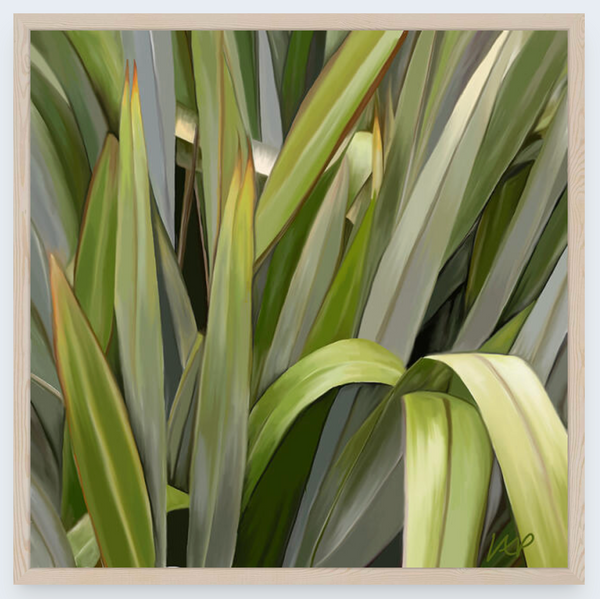 Harakeke by Vicky Peacock - Boxed Frame Notecard