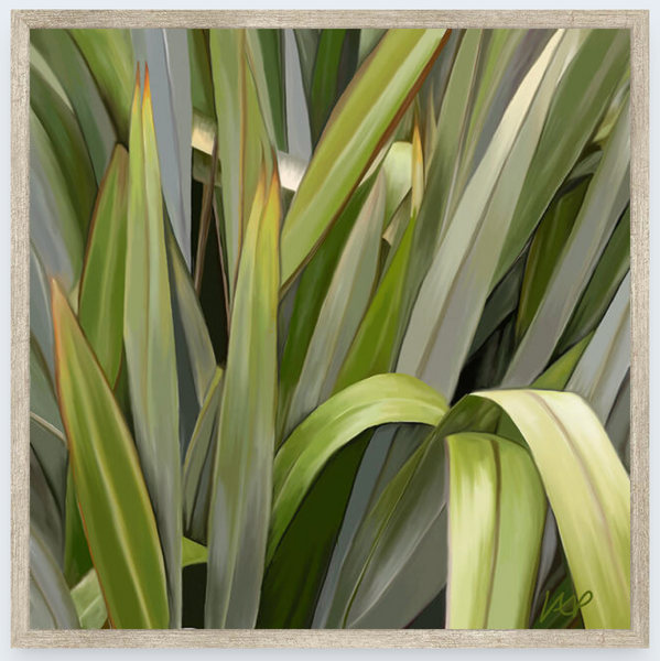 Harakeke by Vicky Peacock - Boxed Frame Notecard
