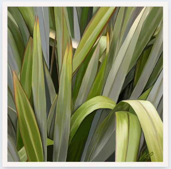 Harakeke by Vicky Peacock - Boxed Frame Notecard