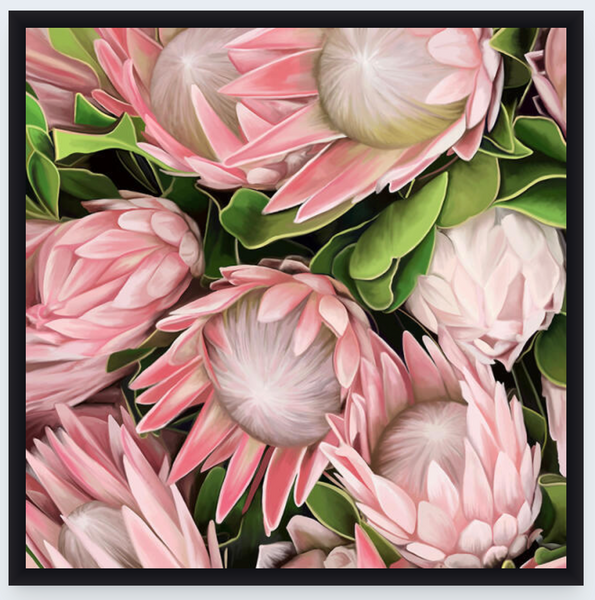 Proteas by Vicky Peacock - Boxed Frame Notecard