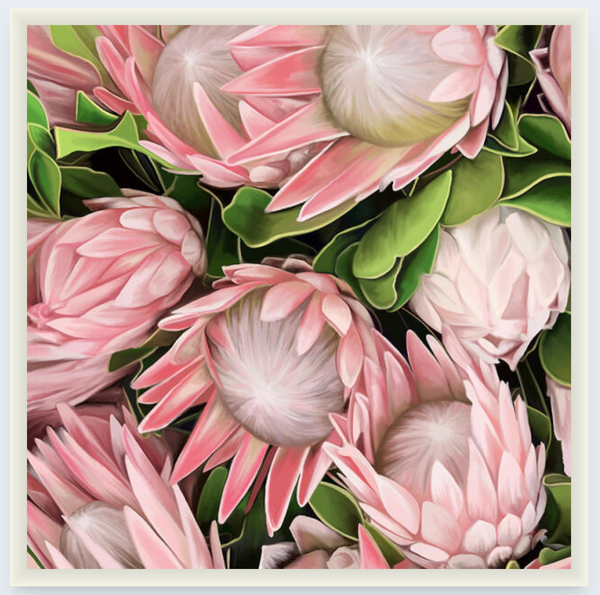 Proteas by Vicky Peacock - Boxed Frame Notecard