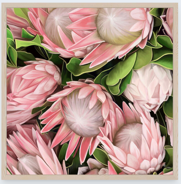 Proteas by Vicky Peacock - Boxed Frame Notecard