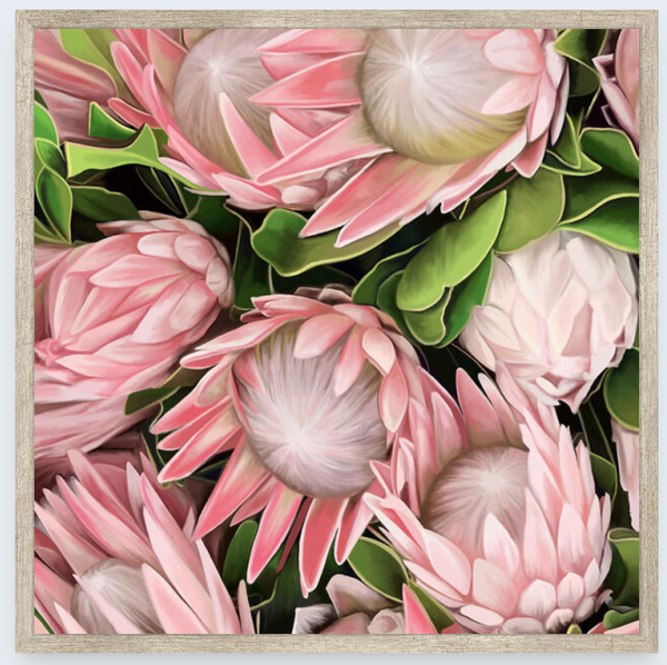 Proteas by Vicky Peacock - Boxed Frame Notecard