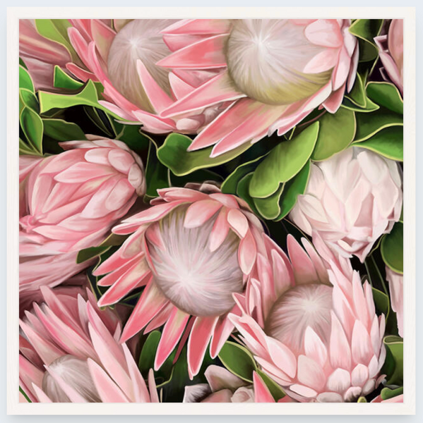 Proteas by Vicky Peacock - Boxed Frame Notecard