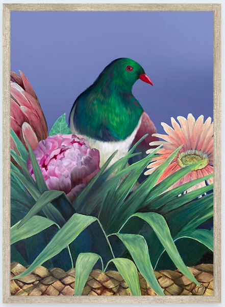 Kereru 2 by Vicky Peacock - Boxed Frame Notecard