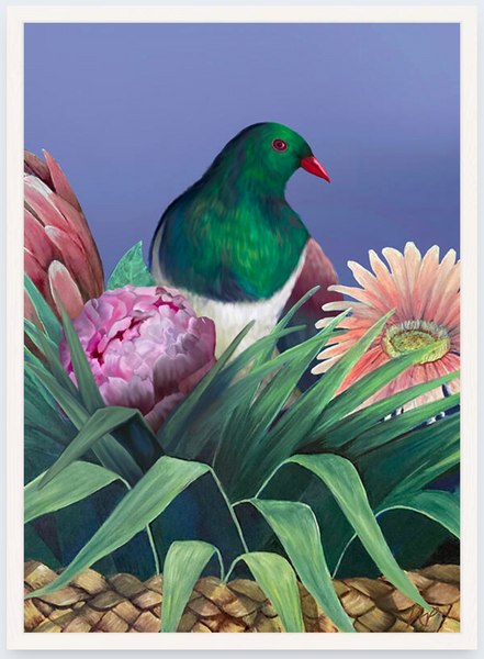 Kereru 2 by Vicky Peacock - Boxed Frame Notecard