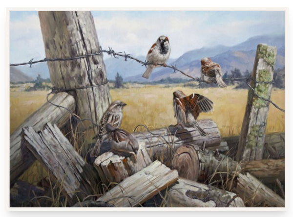The Meeting Place by Ben Ho - Art Print and Box Frame