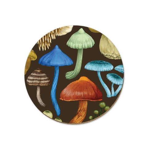 Coasters - NZ Fungi Entoloma
