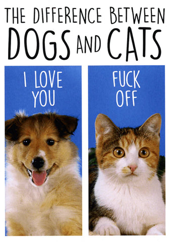 Card - Difference Between Dogs and Cats Greeting Card Dean Morris