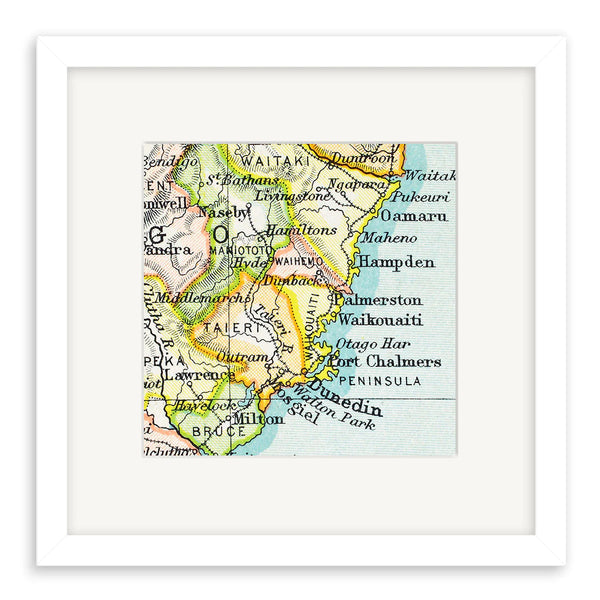 Dunedin - Vintage Map Print
