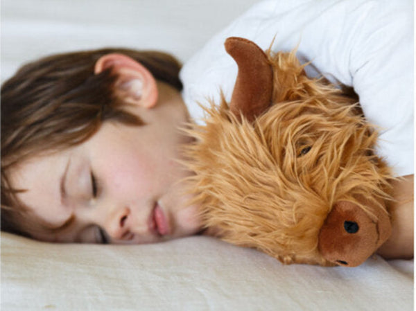 Hamish the Highland Cow Soft Toy Soft Toy Moana Road