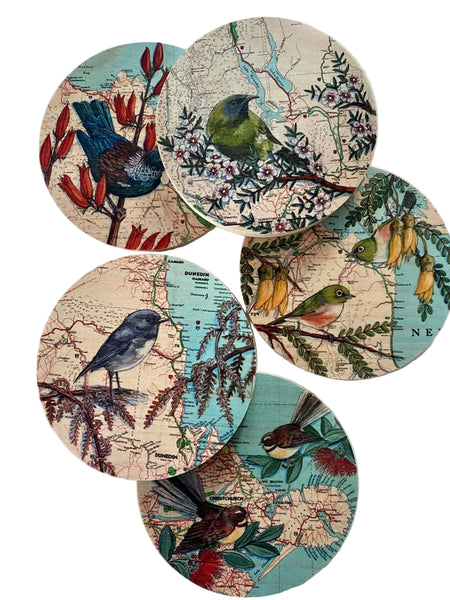 Robin over Dunedin Map - Plywood Wall Art