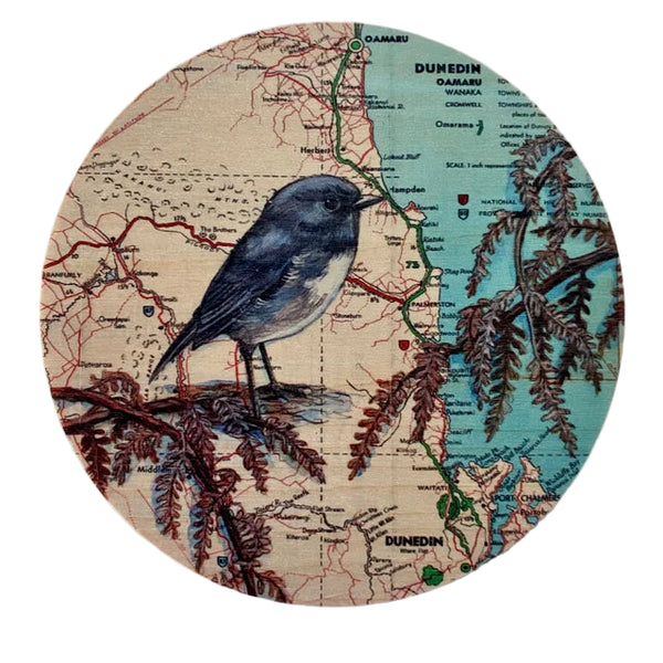 Robin over Dunedin Map - Plywood Wall Art