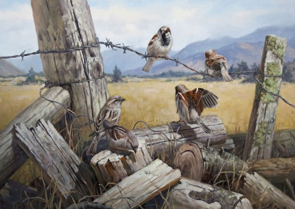 The Meeting Place by Ben Ho - Art Print and Box Frame