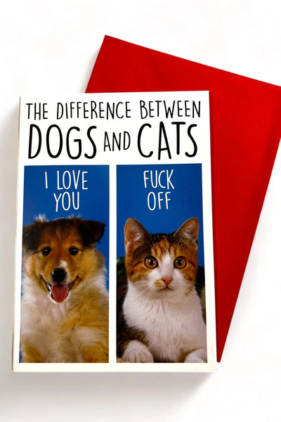 Card - Difference Between Dogs and Cats Greeting Card Dean Morris