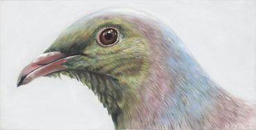 Wood pigeon Bird "Gustav" Art Print