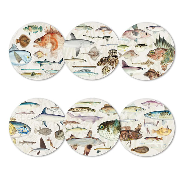 Fishes of NZ Set of 6 Coasters