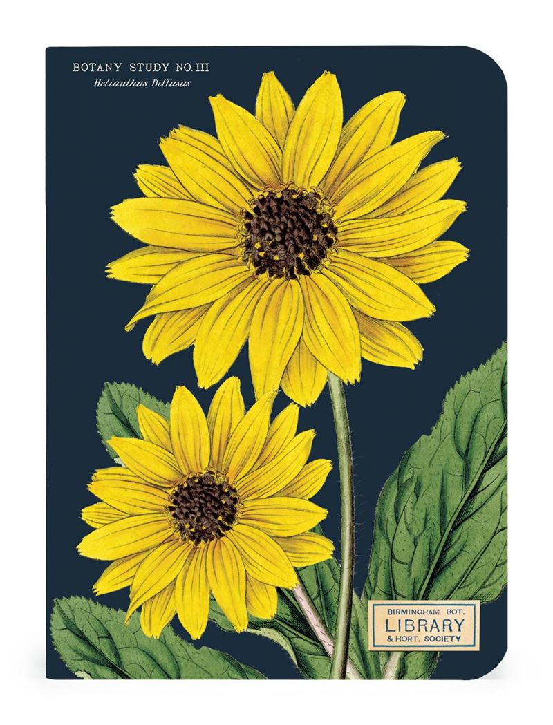 Mini Notebook - Botany Study No.3