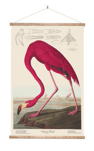 Pink Flamingo - Wall Chart Art Print 100% NZ