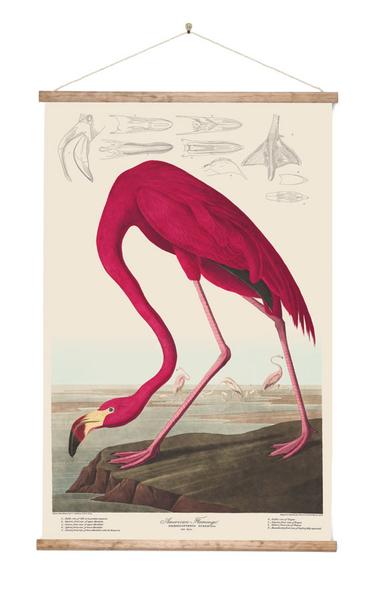 Pink Flamingo - Wall Chart Art Print 100% NZ