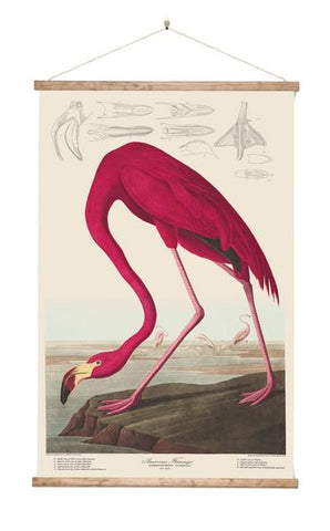 Flamingo - Wall Chart - Design Withdrawals - Design Withdrawals