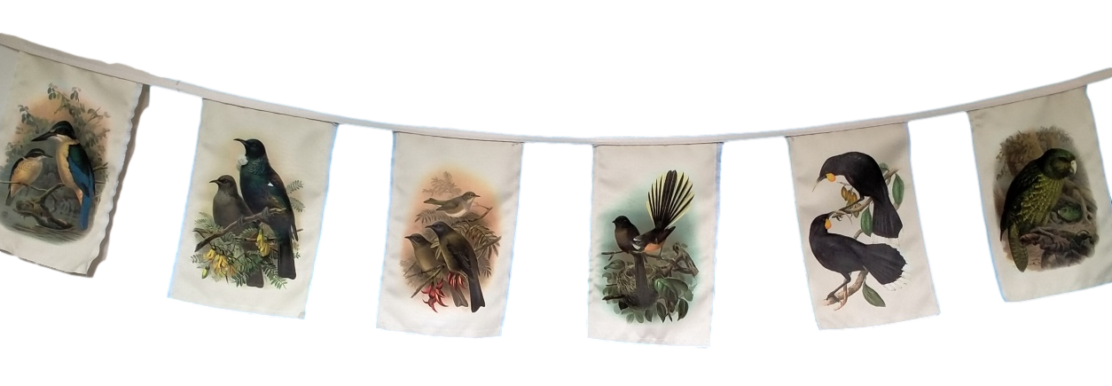 New Zealand Native Birds Bunting