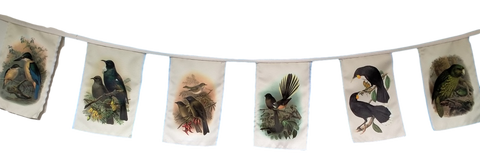 New Zealand Native Birds Bunting