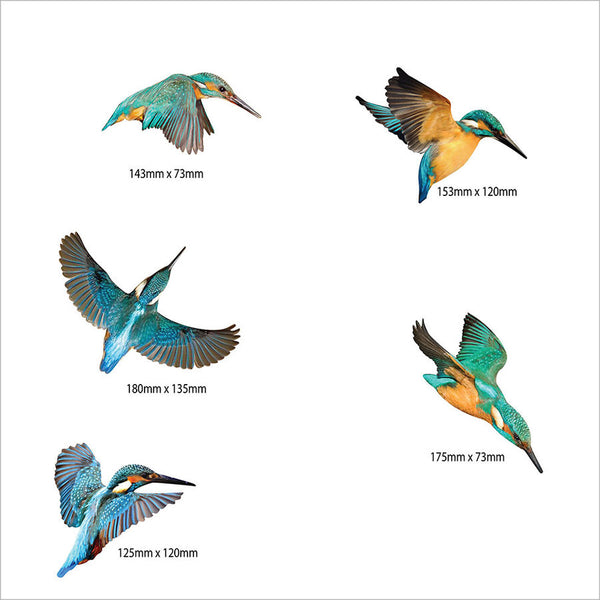 Kingfisher Bird Wall Set