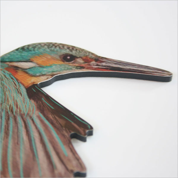 Kingfisher Bird Wall Set