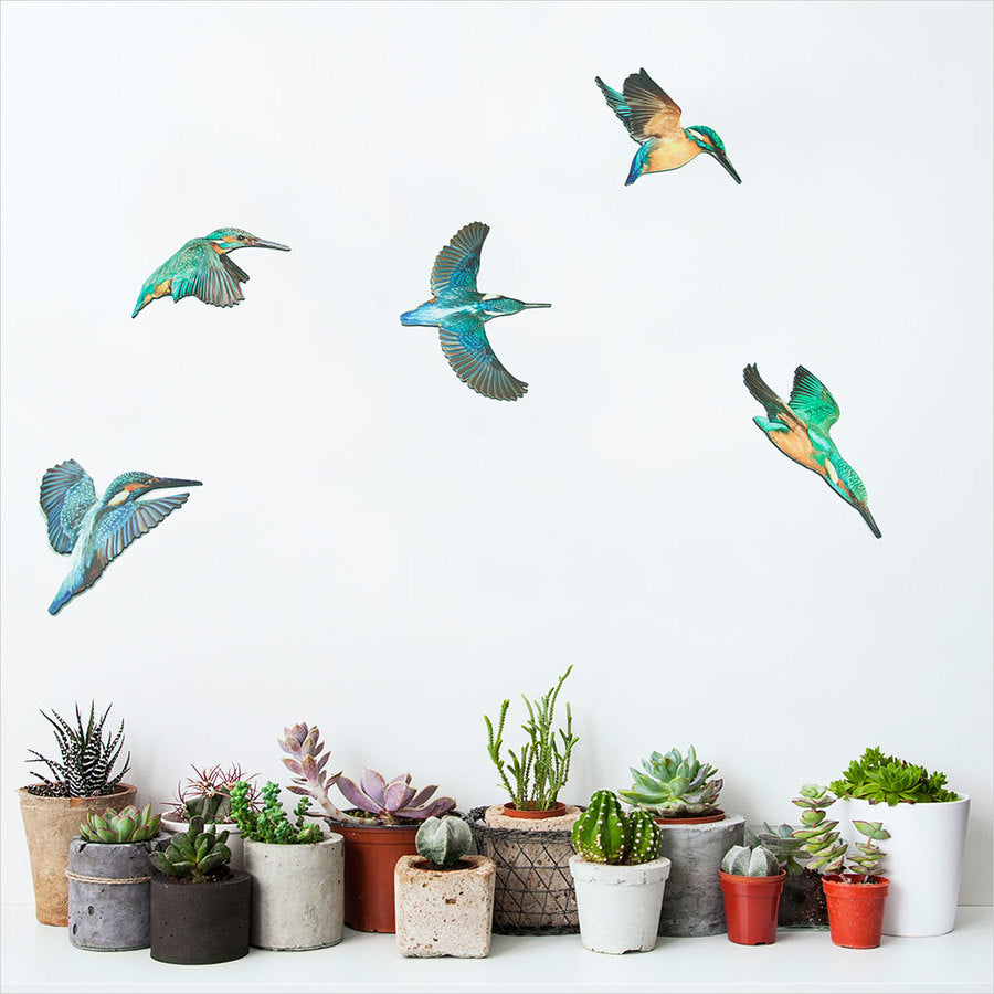 Kingfisher Bird Wall Set