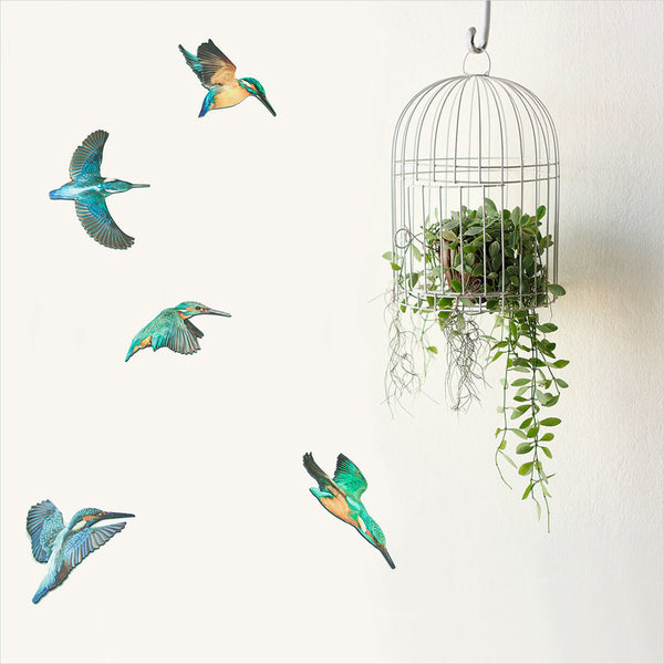 Kingfisher Bird Wall Set