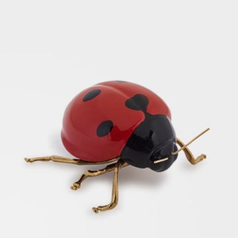 Ladybird Fly Fly