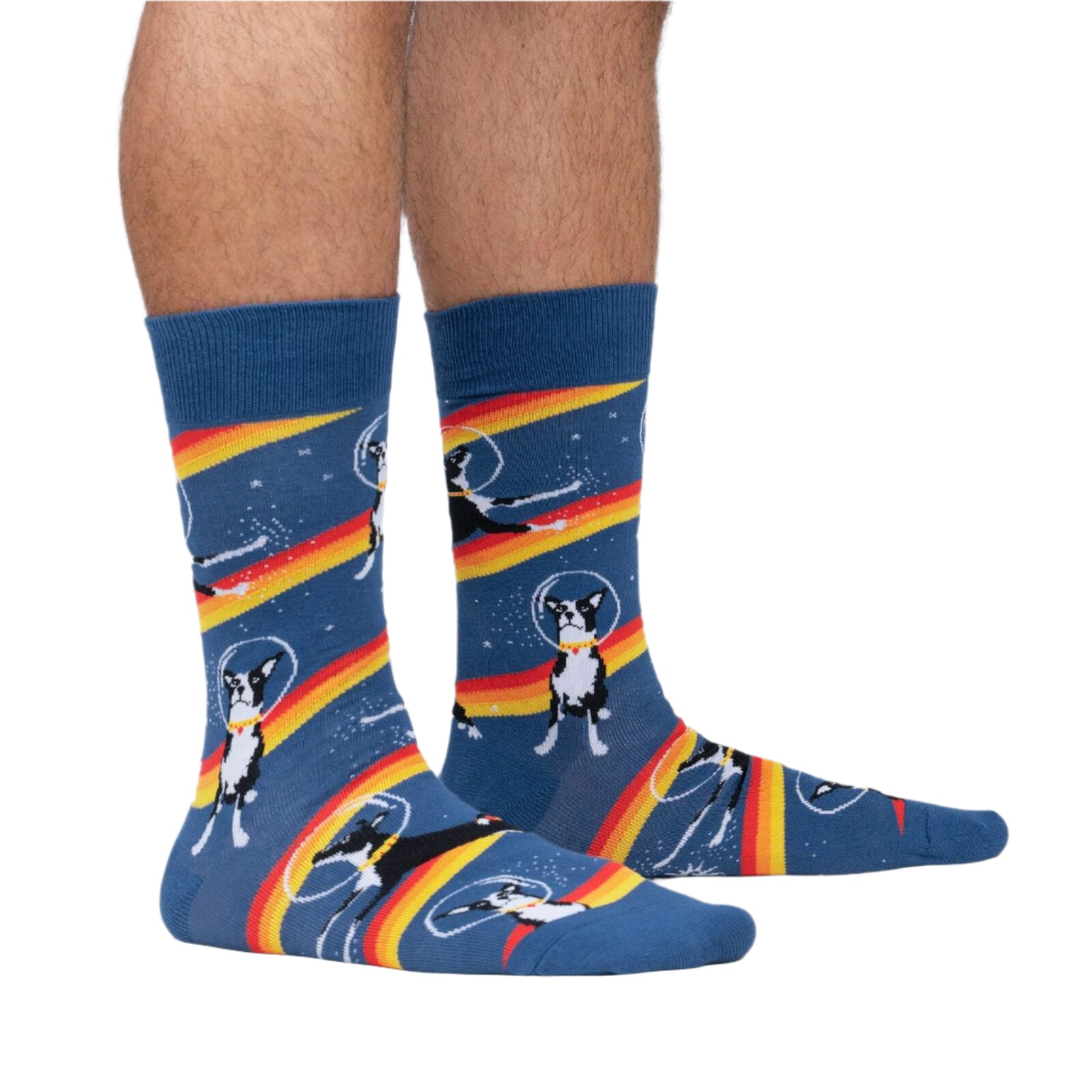 Astro Puppy - Mens Socks Socks Sock It To Me