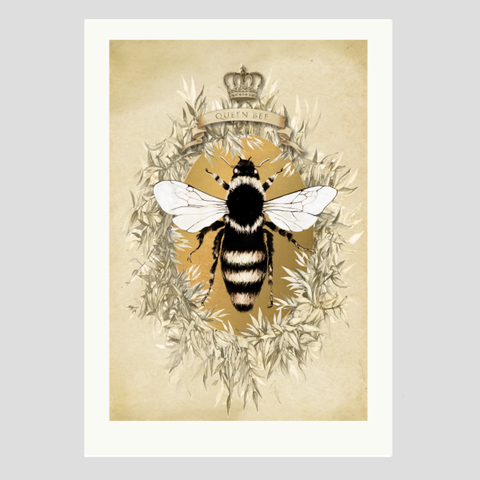 Queen Bee - Marika Jones - Design Withdrawals