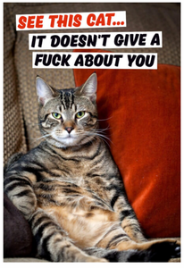 Card - See This Cat. It Doesn't Give A Fuck About Your Birthday