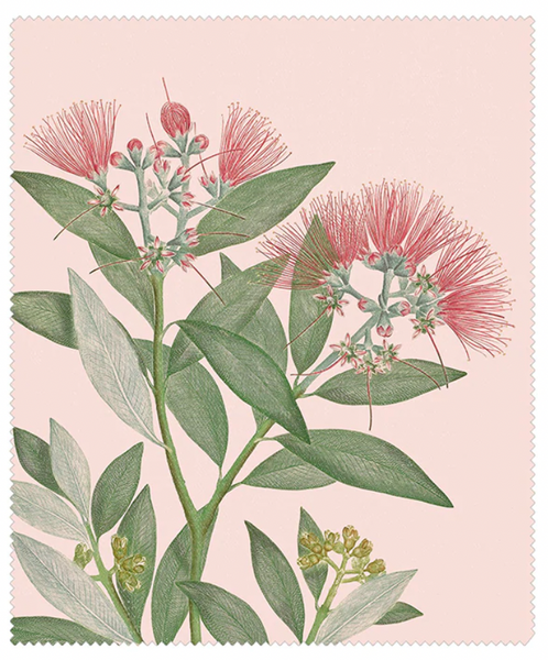 Vintage Botanical Lens Cloth - Pohutukawa