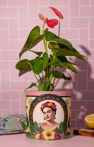 Frida - Mexican Dream - Medium Planter Pot
