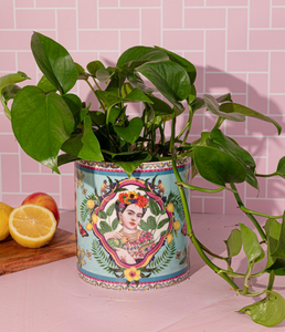 Frida - Mexican Dream - Large Planter Pot