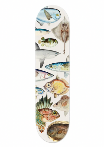 Fishes of New Zealand - Skate Deck Skate Deck 100% NZ