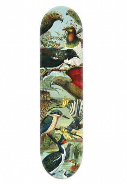 Native Birds of NZ - Skate Deck