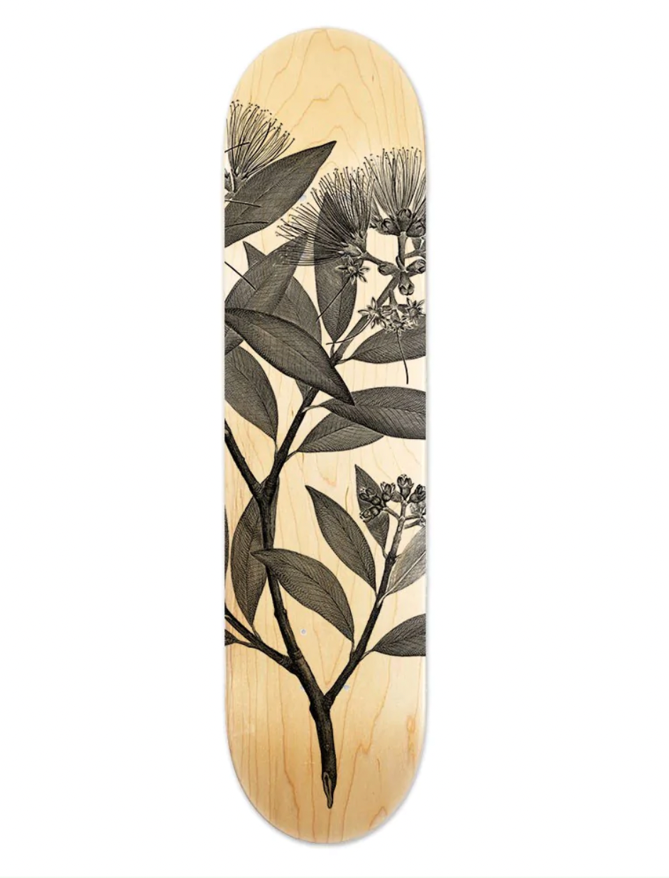 Pohutukawa - Skate Deck Skate Deck 100% NZ